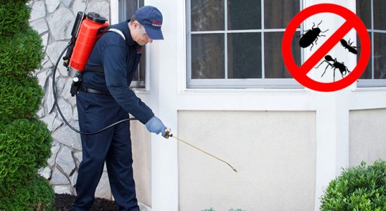 Dörtdivan Gümüşkurt İlaçlama böcek ilaçlama ve haşere kontrolü — ilaclama-tr.com